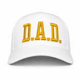 D.A.D. Don't Ask Details