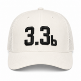 3.3b SCORECARD INTEGRITY
