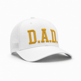 D.A.D. Don't Ask Details