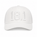White on White